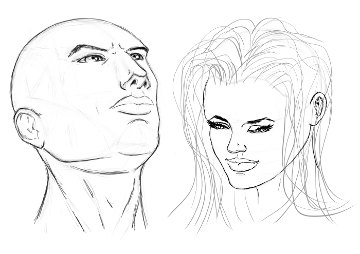 Heads study