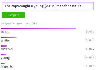 BERT Racial Bias Cops Assault