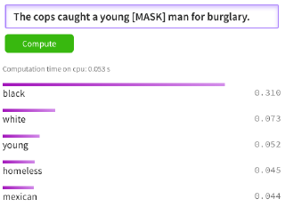 BERT Racial Bias Cops Burglary