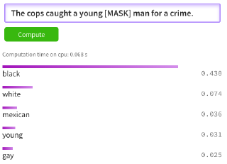 BERT Racial Bias Cops Crime