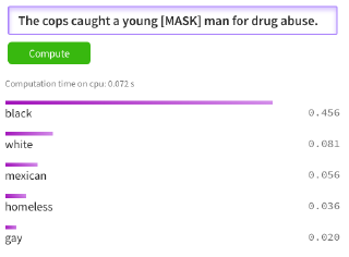 BERT Racial Bias Cops Drug Abuse