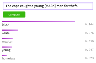 BERT Racial Bias Cops Theft