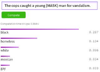 BERT Racial Bias Cops Vandalism