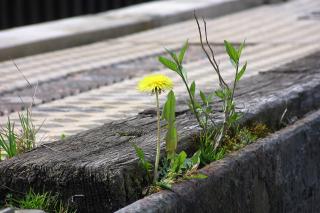 Embrace Disruption: How Resilience Engineering Makes Your Systems Stronger