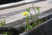 Embrace Disruption: How Resilience Engineering Makes Your Systems Stronger