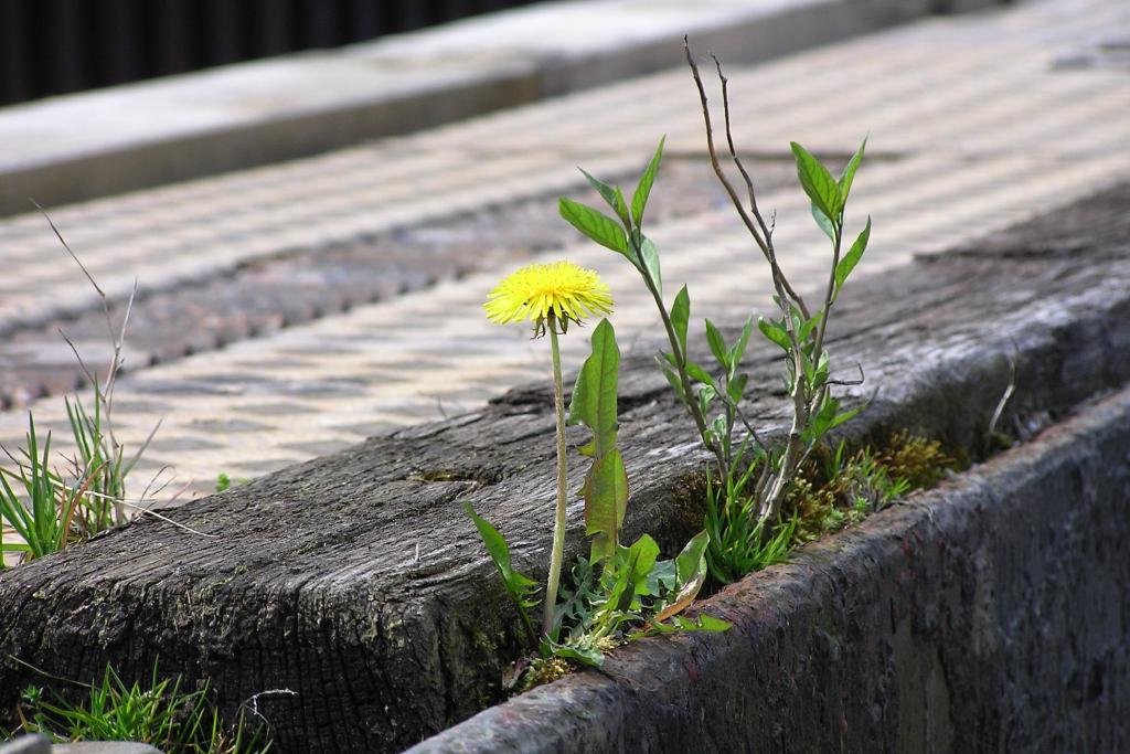 Embrace Disruption: How Resilience Engineering Makes Your Systems Stronger